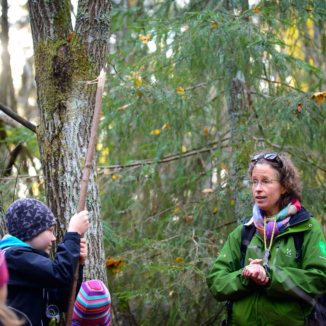 Natursnokarna 20 oktober 2013. Foto: Ted Lindholm