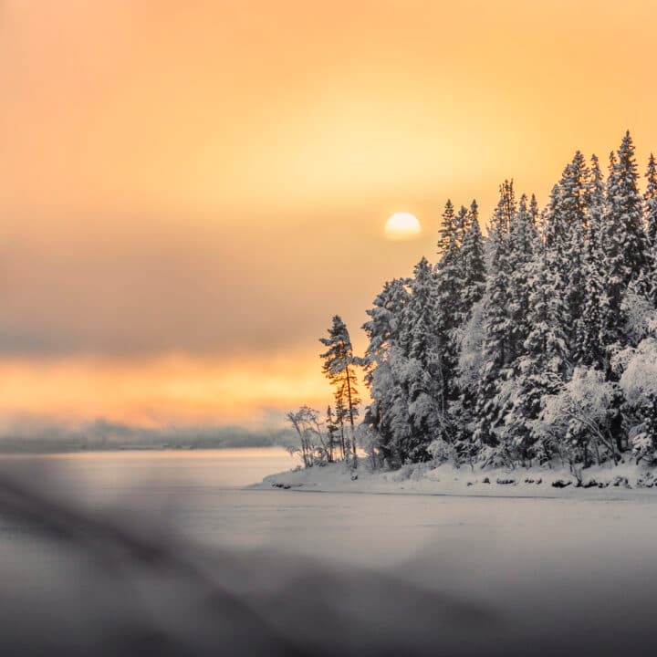 Hero till förstasidan för ge ett nyårslöfte till naturen. Marknad 2021