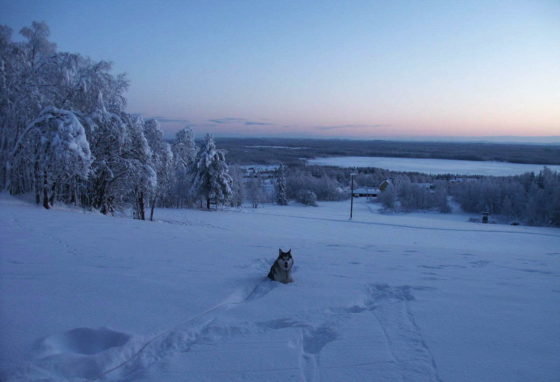 Vintervy från byn Glommersträsk