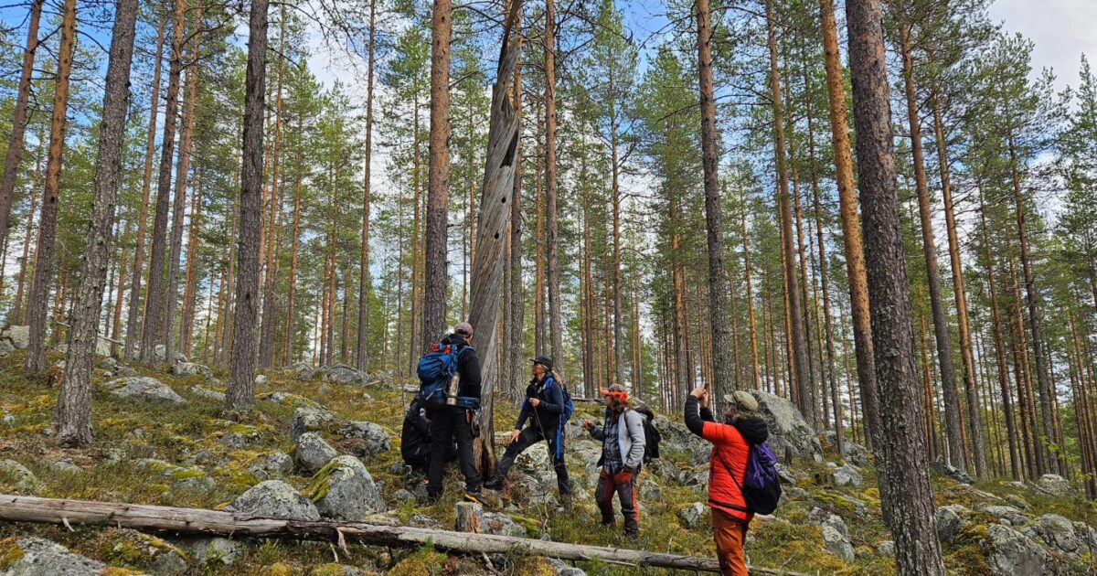 Människor inventerar en skog
