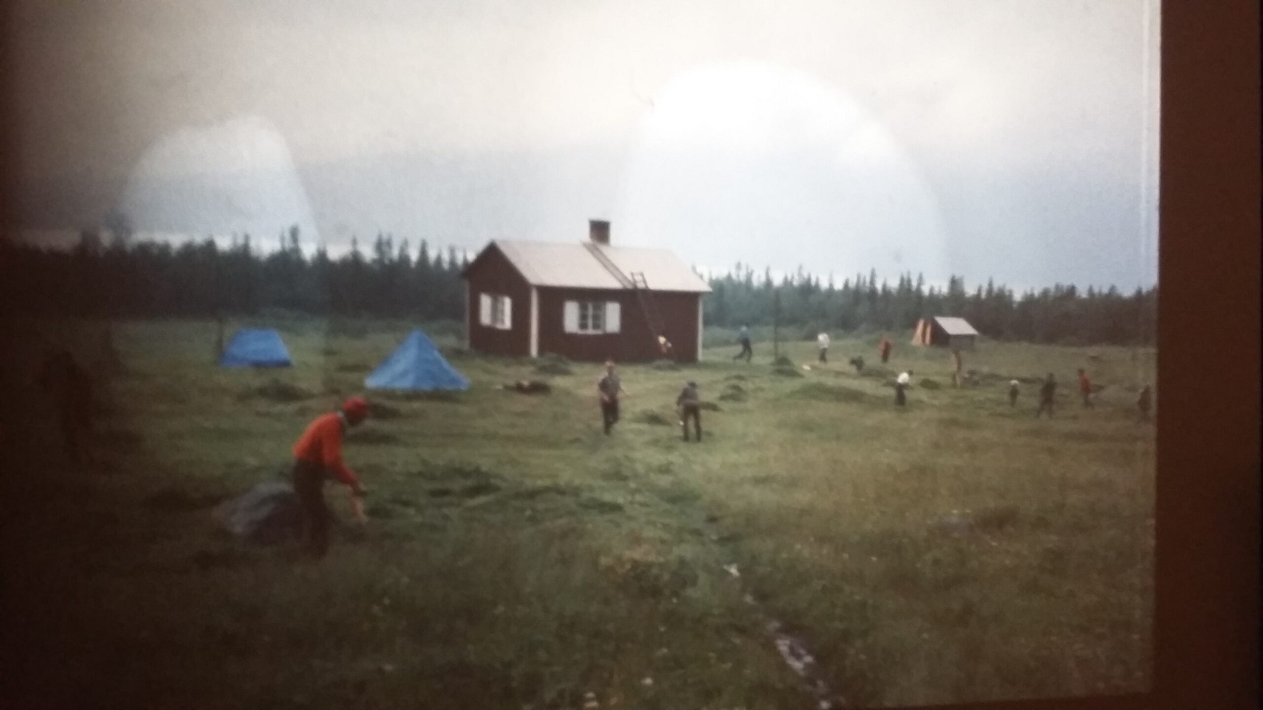 Tält uppsatta runt en fjällstuga.