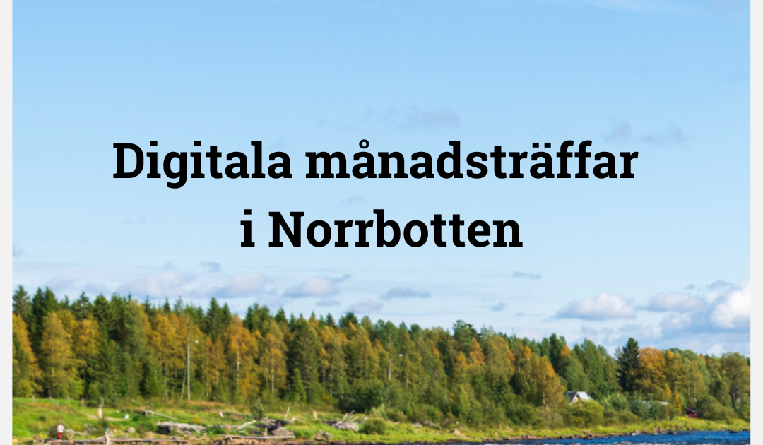 En forsande älv