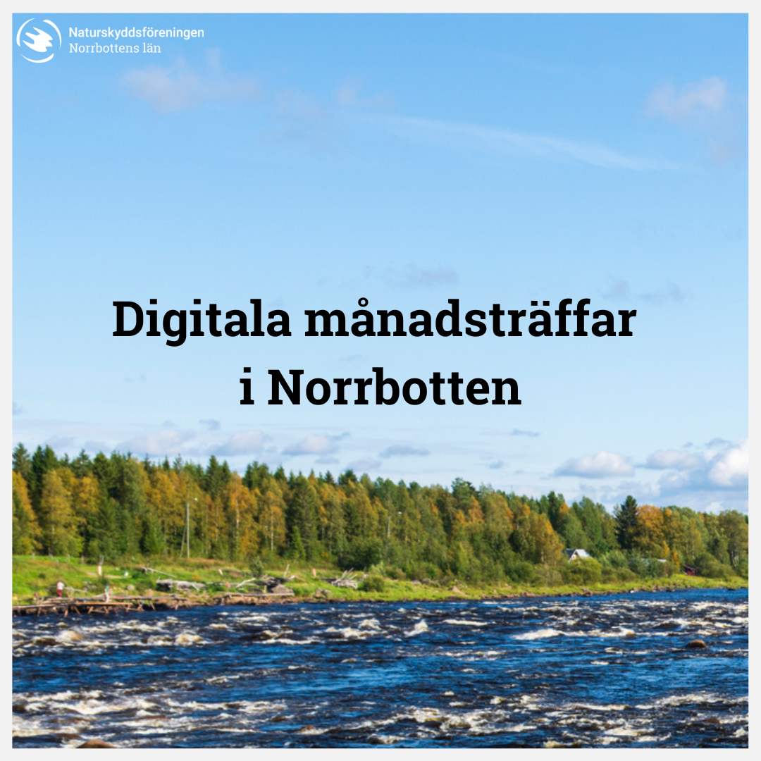En forsande älv