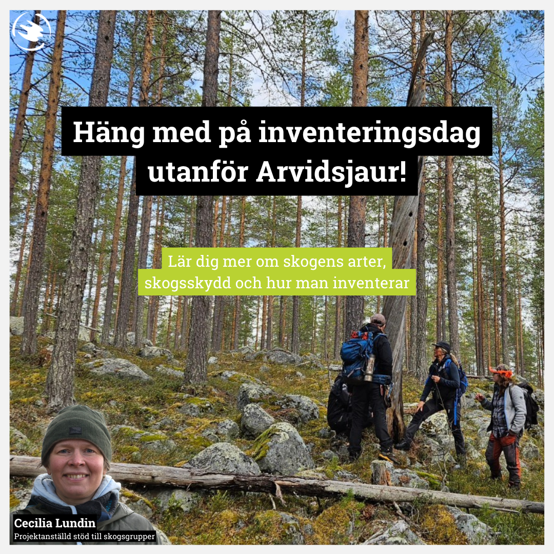 Poster om inventeringsdag. Bild på skog och grupp som inventerar. Cecilia inklippt i vänster nedre hörn