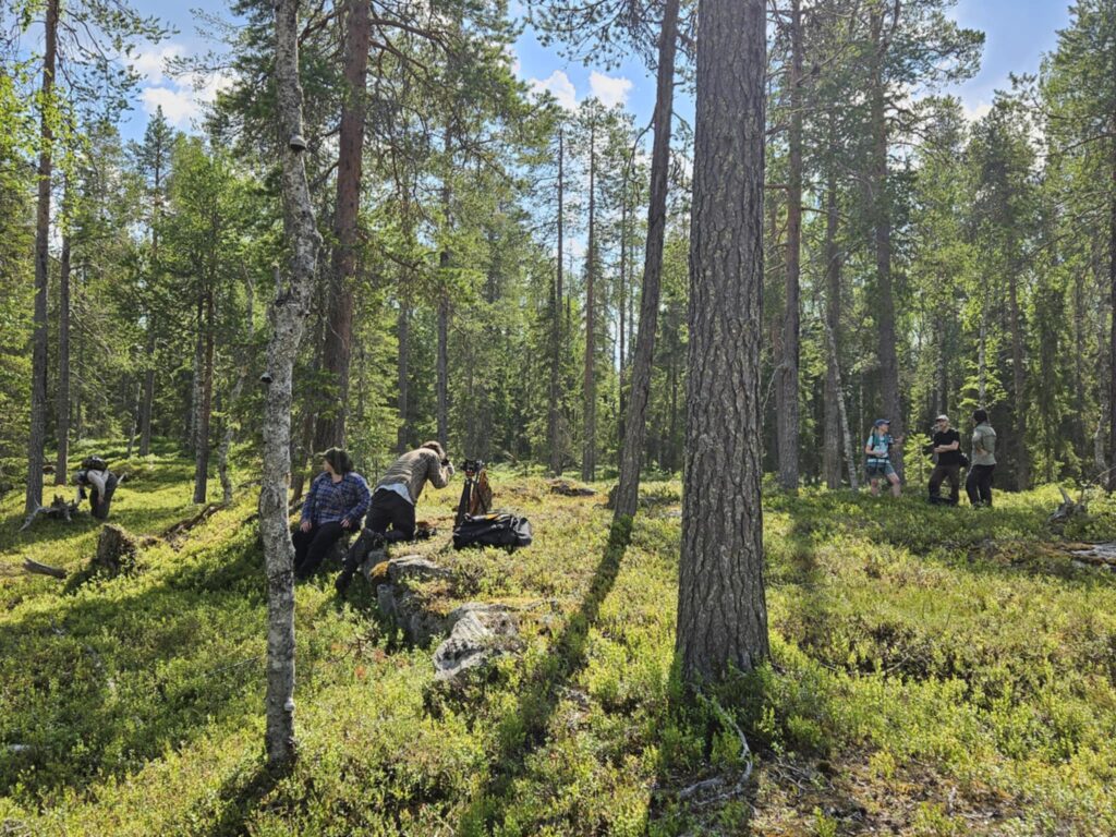 Människor inventerar i en skog, solen lyser genom träden
