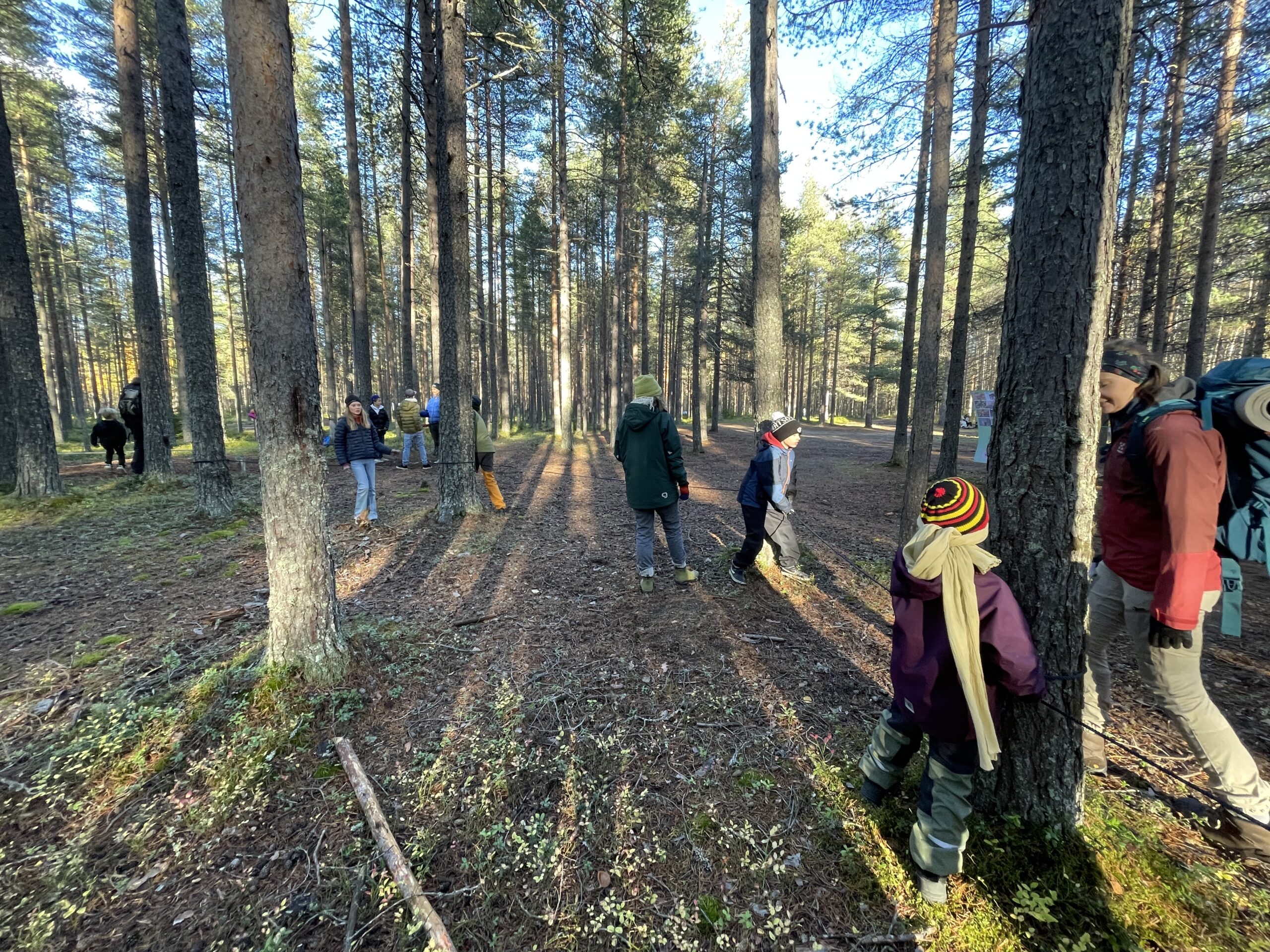 Barn och vuxna leker sinnesleken, följer ett rep mellan tallar utan att se, fokuserar på intryck från hörsel, lukt och smak
