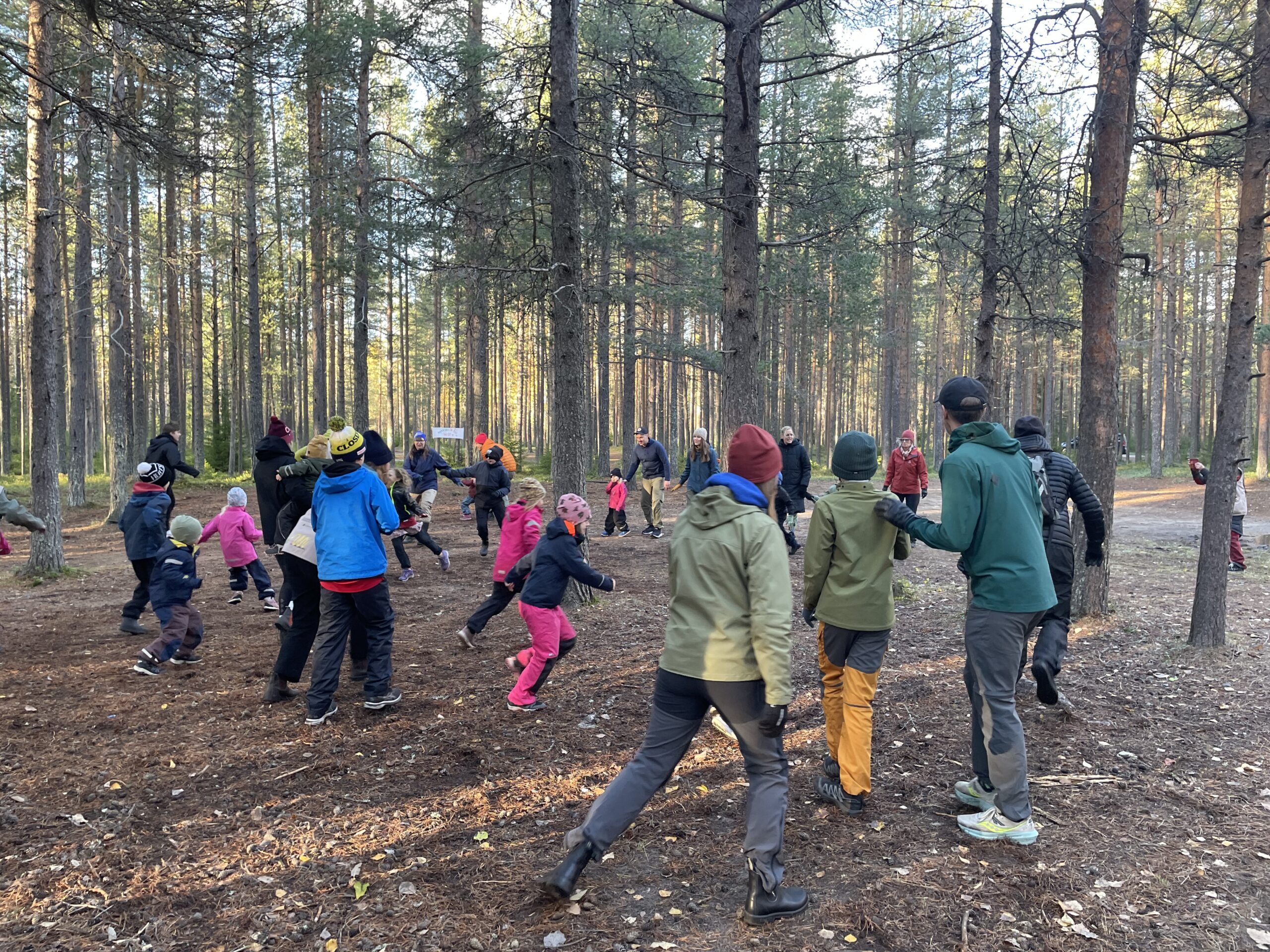 Barn och vuxna som leker och springer i skogen
