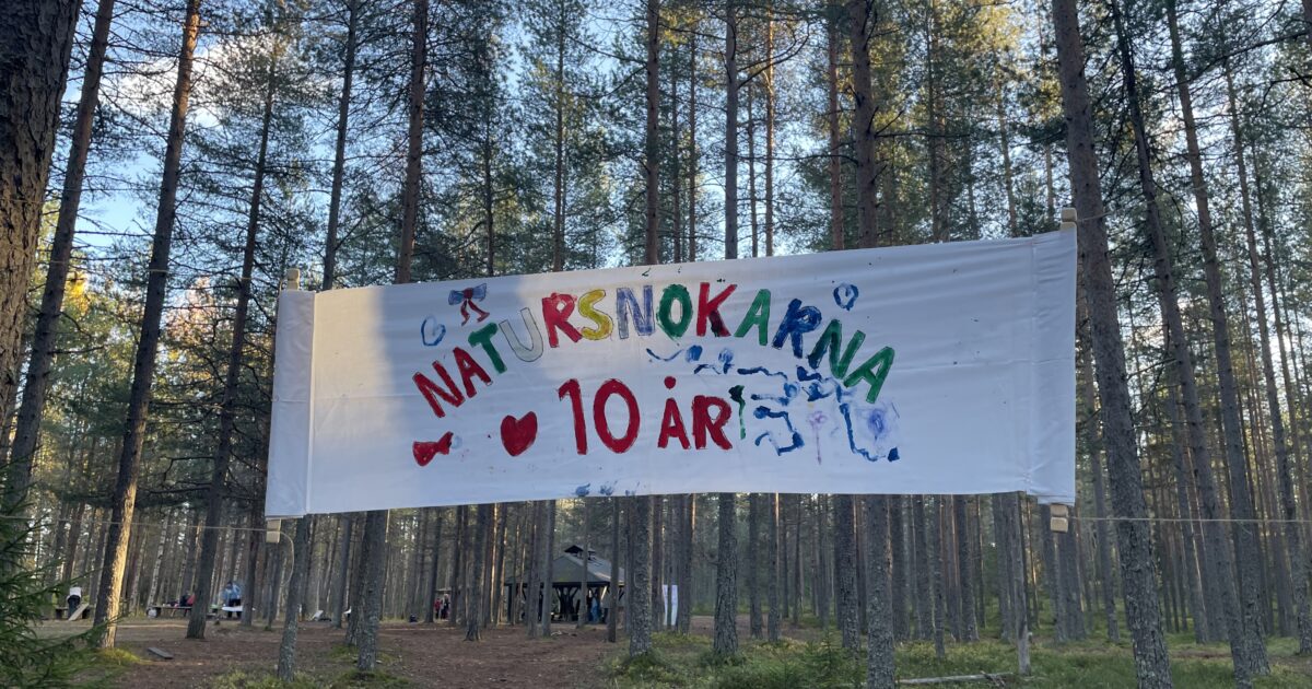 Banderoll för 10-årsfirandet av Natursnokarna i Luleå som snokbarnen målat, tallskog i bakgrunden