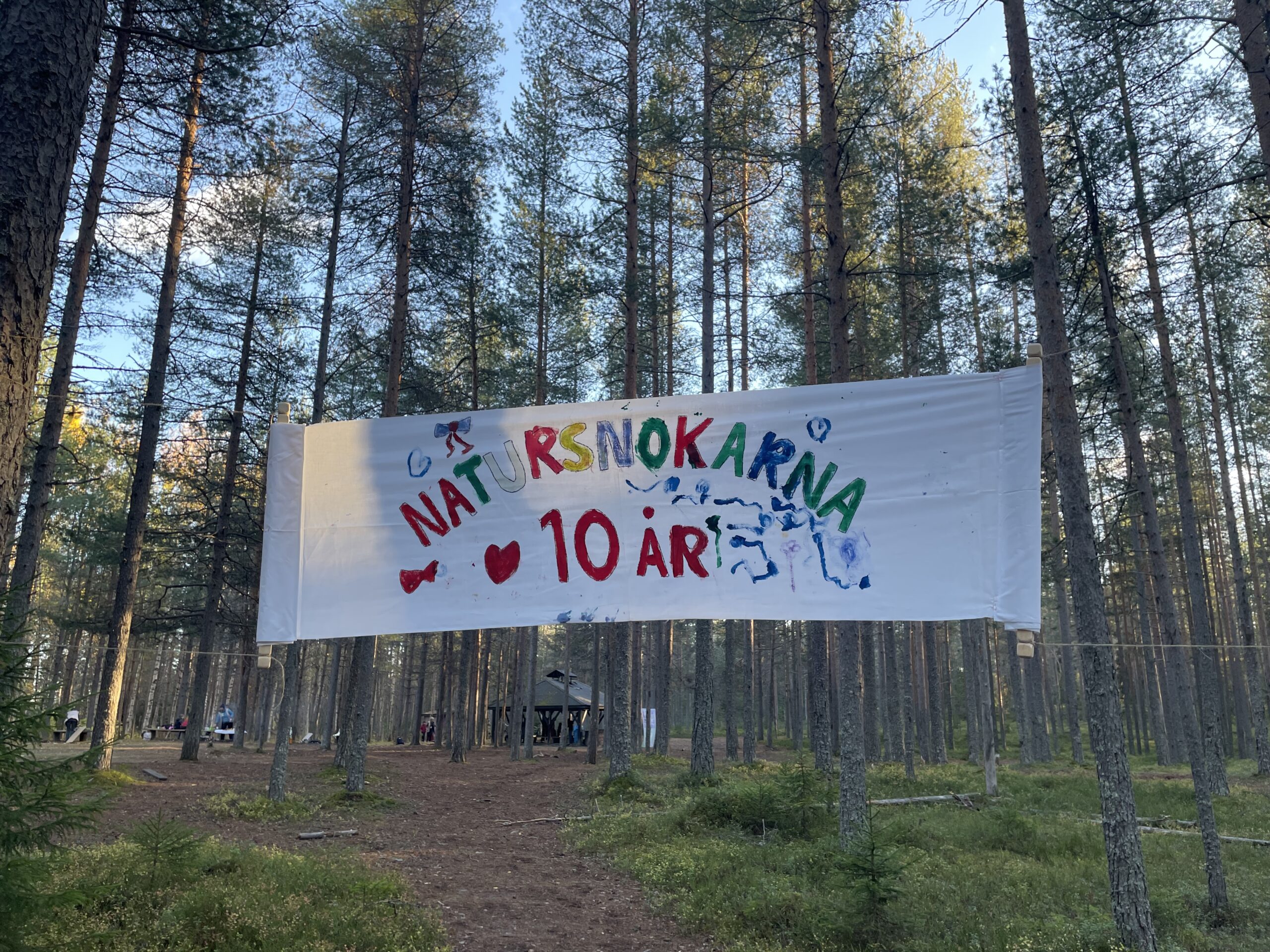 Banderoll för 10-årsfirandet av Natursnokarna i Luleå som snokbarnen målat, tallskog i bakgrunden